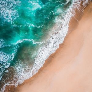 Meet your Posher, Anne